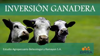 INVERSIÓN GANADERA
Estudio Agropecuario Belaustegui y Ramayon S.A.
 