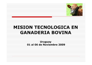 MISION TECNOLOGICA EN
  GANADERIA BOVINA
              Uruguay
    01 al 06 de Noviembre 2009
 