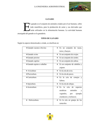 GANADO<br />E<br />l ganado es el conjunto de animales criados por el ser humano, sobre todo mamíferos, para la producción de carne y sus derivados que serán utilizados en la alimentación humana. La actividad humana encargada del ganado es la ganadería.<br />TIPOS DE GANADO<br />Según la especie domesticada o criada, se clasifican en:<br />Ganado vacuno o bovinoEs un conjunto de vacas, toros y bueyes.Ganado ovinoEs un conjunto de ovejas.Ganado porcinoEs un conjunto de cerdos.Ganado caprinoEs un conjunto de cabras.Ganado equino o caballarEs un conjunto de caballos y yeguas. AviculturaEs la cría de aves.PisciculturaEs la cría de peces.CuniculturaEs la cría de conejos y liebres.ApiculturaEs la cría de abejas.AcuiculturaEs la cría de especies acuáticas animales y vegetales, por ejemplo crustáceos y moluscos.HeliciculturaEs la cría en granja de los caracoles.<br />GANADERÍA<br />La ganadería es una actividad económica de origen muy antiguo que consiste en la crianza de animales para su aprovechamiento. Dependiendo de la especie ganadera, se obtienen diversos productos derivados, como la carne, la leche, los huevos, los cueros, la lana y la miel, entre otros.[]<br />Los ganados más importantes en número a nivel mundial son los relacionados con la ganadería bovina, la ovina y la porcina. Sin embargo, en algunas regiones del planeta otros tipos de ganado tienen mayor importancia, como el caprino y el equino, como así también la cunicultura, la avicultura y la apicultura.[1]<br />La ganadería esta relacionada con la agricultura, ya que en una granja ambas pueden estar relacionadas. En estos casos el ganado aporta el estiércol, que es utilizado como abono, y los cultivos aportan el alimento para los animales.[1]<br />ESPECIES DE GANADO<br />Se distinguen varios tipos de ganadería en función de las especies, por otra parte variadas, objeto de explotación. Así, además de la ya conocida cría de ganado vacuno, ovino o caprino, se puede distinguir la cría de conejos (cunicultura), la de aves (avicultura), etc. Casos peculiares los constituyen la apicultura, ya que se trata de la cría extensiva de un insecto, o la lombricultura, que se desarrolla para la obtención de mantillos. En la actualidad existen incluso explotaciones dedicadas a la cría de grillos para su uso en la alimentación de animales de compañía tan peculiares como los reptiles. Otras ganaderías son las desarrolladas con destino a la industria peletera, siendo su máximo exponente la cría de visones.[6]<br />CLASIFICACIÓN DE LA INDUSTRIA GANADERA<br />La industria ganadera clasifica al ganado de acuerdo al fin de éste:<br />Ganado pie de críaGanado de engordeGanado lecheroGanado de doble propósitoGanadería extensiva e intensiva<br />Ganado porcino <br />16173451525905El ancestro salvaje de la mayoría de las razas domésticas de cerdos es el jabalí (Sus scrofa). Se considera que fue domesticado independientemente en varios lugares muy alejados geográfica y temporalmente, utilizando diferentes bases fundadoras desde el comienzo según las subespecies y razas locales. El cerdo salvaje de Sulawesi (Sus celebensis) ha sido domesticado en la isla de Sulawesi, probablemente al comienzo del Holoceno.<br /> []<br />AVES<br />Gallinas, patos, gansos, pintadas, codornices, palomas y pavos ayudan a satisfacer las necesidades proteicas de los más pobres en el mundo y contribuyen de forma importante a los regímenes alimenticios del mundo desarrollado a través de la industria avícola. Estas aves son a menudo criadas en libertad, es decir que encuentran el alimento por si mismas, a menor costo, en zonas donde los bovinos no pueden sobrevivir tales como aquellas infestadas con la mosca tse tse (Glossina spp.). Avestruces, emúes, ñandúes y casuarios están en grados diversos de domesticación por su piel, su carne o para otras producciones.<br />La gallina roja de la jungla y sus parientes próximos del género Gallus son los ancestros de la gallina doméstica (G. domesticus). Muchas especies de patos se adaptan fácilmente a la cautividad y varias especies salvajes tropicales parecerían tener un buen potencial para la semidomesticación en los países del Tercer Mundo de los cuales son originarios. El ánade real salvaje (Anas platyrhyncos), especie muy difundida, es el ancestro de las razas de patos domésticos modernos. Los patos domésticos tienen una gran importancia como fuente de alimentos en Asia, especialmente en el sudeste. Allí sus huevos son lo más importante, en tanto que hacia el norte la producción de carne toma mayor significación. Por el contrario, los patos son por el momento de importancia menor en África, América Latina y Cercano Oriente.[11]<br />GANADO VACUNO<br />Ganado vacuno, nombre común de los mamíferos herbívoros domesticados del género Bos, de la familia Bóvidos, que tienen gran importancia para el hombre, quien obtiene de ellos carne, leche, cuero, cola, gelatina y otros productos comerciales. El ganado vacuno actual se divide en dos especies: Bovidae taurus, que tuvo su origen en Europa e incluye la mayoría de las variedades modernas de ganado lechero y de carne y Bovidae indicus, que tuvo su origen en India y se caracteriza por una joroba en la cruz (entre los hombros).<br /> Este último está muy extendido en África y Asia y en número menor, ha sido importado en América. Las características generales del ganado vacuno quedan descritas en su clasificación. Pertenece al orden Artiodactyla (mamíferos de número impar de dedos con cascos) y al suborden Ruminantia (estómagos divididos en cuatro compartimentos y con un número reducido de dientes, sin incisivos). Como otros miembros de la familia Bóvidos, tienen dos cuernos o astas huecos y sin ramificar que conservan durante toda la vida. Otros bóvidos están tan íntimamente emparentados con el verdadero ganado vacuno que aún pueden hibridarse entre sí, como el anoa, el bisonte, el gaur, los búfalos indios y africanos y el yak.<br />GANADO BOVINO<br />La vaca doméstica desciende de un grupo de razas de uros, Bos taurus primigenius, hoy desaparecidos. Los uros, de los cuales el último espécimen murió en un parque polaco en 1627, fueron en otras épocas muy comunes en Europa y su territorio se extendía a través de África del norte y el Medio Oriente hasta el sudeste asiático y la China.[7] Hay dos tipos principales de bovinos domésticos, los cebúes (Bos taurus indicus) que tienen una joroba marcada a nivel de las espaldas, y los taurinos (Bos taurus taurus) que no tienen joroba. Los dos tipos, debido a su total interfertilidad, son habitualmente considerados como subespecies. Además, se ha comprobado a nivel molecular que todas las razas europeas y africanas de bovinos domésticos, ya sean de origen cebuino o taurino, son de una misma línea mitocondrial, en tanto que las razas indias son de otra. Estudios similares utilizando el ADN del cromosoma Y muestran los antecedentes cebú de las poblaciones de bovinos africanos con cuernos. La interpretación de estos resultados es que los cebú africanos se han desarrollado a partir de un origen híbrido siendo la introducción de la sangre cebú principalmente hecha a través de los machos. Hay entonces algunas pruebas de dos domesticaciones separadas, sin dudas de dos subespecies diferentes de uros.<br />El ganado bovino se cría a lo largo y ancho del planeta por su carne, su leche y su cuero. También se siguen empleando en los espectáculos taurinos en algunos países. La hembra es la vaca y el macho, el toro (si ha sido castrado se le llama buey). Las crías de la vaca son los terneros o becerros y los ejemplares jóvenes son conocidos como añojos cuando cumplen un año, erales cuando tienen más de un año y no llegan a los dos, y novillos hasta la edad adulta (los animales de más de dos años y menos de tres se les llama también utreros, y cuatreños cuando tienen cuatro). La cría y utilización de estos animales por parte del hombre se conoce como ganadería bovina. Estados Unidos de América es el país donde se localiza la mayor parte de la producción de carne y leche. Este país tiene una gran diferencia con sus escoltas, entre los que se encuentran Brasil, China, India, Argentina y Australia en la producción de carne, y la India, Rusia, Alemania y Francia en la producción lechera.[1] Existen centenares de razas en todo el mundo con características particulares que las hacen más adecuadas para un uso particular o más adaptadas para ser criadas en determinadas regiones.[<br />Vaca<br />                      <br />Porcino<br /> HYPERLINK quot;
http://www.youtube.com/watch?v=GRPGIqt9KMc&noredirect=1quot;
 http://www.youtube.com/watch?v=GRPGIqt9KMc&noredirect=1 <br />c               <br />Aves <br />  <br />    <br />