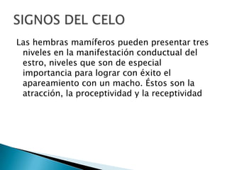 Las hembras mamíferos pueden presentar tres
 niveles en la manifestación conductual del
 estro, niveles que son de especial
 importancia para lograr con éxito el
 apareamiento con un macho. Éstos son la
 atracción, la proceptividad y la receptividad
 