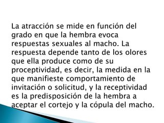 La atracción se mide en función del
grado en que la hembra evoca
respuestas sexuales al macho. La
respuesta depende tanto de los olores
que ella produce como de su
proceptividad, es decir, la medida en la
que manifieste comportamiento de
invitación o solicitud, y la receptividad
es la predisposición de la hembra a
aceptar el cortejo y la cópula del macho.
 