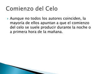    Aunque no todos los autores coinciden, la
    mayoría de ellos apuntan a que el comienzo
    del celo se suele producir durante la noche o
    a primera hora de la mañana.
 