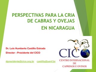 Dr. Luis Humberto Castillo Estrada
Director - Presidente del CICO
dpresidente@cico.org.br castillo@uenf.br
PERSPECTIVAS PARA LA CRIA
DE CABRAS Y OVEJAS
EN NICARAGUA
 