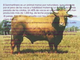   El proceso  de pigmentación se completa alrededor de  los 24  meses