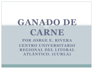 GANADO DE CARNE Por Jorge e. Rivera Centro universitario regional del litoral atlántico. (curla) 