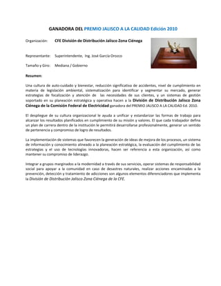 Ganadoras pjc 2010 resumen