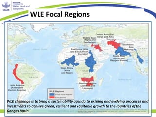Uniting agriculture and nature for poverty reduction
WLE Focal Regions
WLE challenge is to bring a sustainability agenda t...