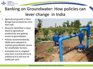 Uniting agriculture and nature for poverty reduction
Banking on Groundwater: How policies can
lever change in India
• Agri...