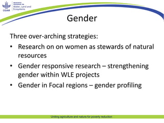 Uniting agriculture and nature for poverty reduction
Gender
Three over-arching strategies:
• Research on on women as stewa...