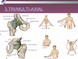 General Anatomy of Joints | PPT