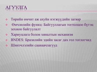 АГУУЛГА 
 Төрийн өмчит аж ахуйн нэгжүүдийн загвар 
 Өмчлөлийн функц: Байгууллагын тогтолцоо бүтэц 
зохион байгуулалт 
 Хариуцлага болон хяналтын механизм 
 BNDES: Бразилийн эдийн засаг дах гол тоглогчид 
 Шинэчлэлийн саанаачлагууд 
 