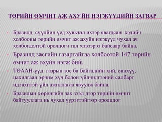 ТӨРИЙН ӨМЧИТ АЖ АХУЙН НЭГЖҮҮДИЙН ЗАГВАР 
• Бразилд сүүлйин үед хувьчал ихээр явагдсан хэдийч 
холбооны төрийн өмчит аж ахуйн нэгжүүд чухал ач 
холбогдолтой оролцогч тал хэвээрээ байсаар байна. 
• Бразилд засгийн газартайгаа холбоотой 147 төрийн 
өмчит аж ахуйн нэгж бий. 
• ТӨААН-үүд газрын тос ба байгалийн хий, санхүү, 
цахилгаан эрчим хүч болон үйлчилгээний салбарт 
идэвхитэй үйл ажиллагаа явуулж байна. 
• Бразилын хөрөнгийн зах зээл дээр төрийн өмчит 
байгууллага нь чухал үүрэгтэйгээр оролцдог 
 