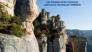 Les Causses et les Cévennes
patrimoine mondial de l'UNESCO
 