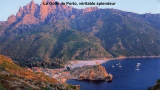 Le Golfe de Porto, véritable splendeur
 