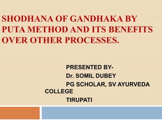 SHODHANA OF GANDHAKA BY
PUTA METHOD AND ITS BENEFITS
OVER OTHER PROCESSES.
PRESENTED BY-
Dr. SOMIL DUBEY
PG SCHOLAR, SV AYURVEDA
COLLEGE
TIRUPATI
 