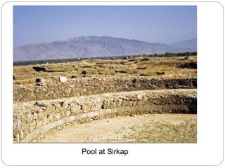 Pool at Sirkap
 