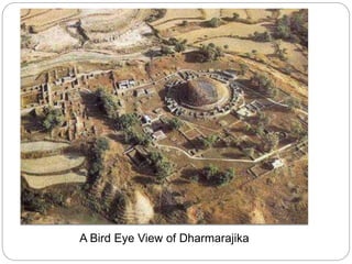 A Bird Eye View of Dharmarajika
 