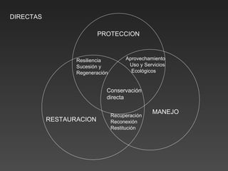 PROTECCION MANEJO RESTAURACION Resiliencia Sucesión y  Regeneración Aprovechamiento Uso y Servicios  Ecológicos Recuperación Reconexión Restitución Conservación directa DIRECTAS 