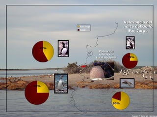 Población relativa al total nacional Relevancia del norte del Golfo San Jorge fuente: P. Yorio y F. Quintana 25% 42% 80% 25% 