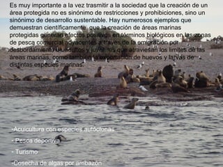 Es muy importante a la vez trasmitir a la sociedad que la creación de un área protegida no es sinónimo de restricciones y prohibiciones, sino un sinónimo de desarrollo sustentable. Hay numerosos ejemplos que demuestran científicamente  que la creación de áreas marinas protegidas generan efectos positivos en términos biológicos en las zonas de pesca comercial adyacentes a través de la emigración por desbordamiento de adultos y juveniles que atraviesan los limites de las áreas marinas, como también la exportación de huevos y larvas de distintas especies marinas.  Acuicultura con especies autóctonas Pesca deportiva Turismo Cosecha de algas por arribazón  