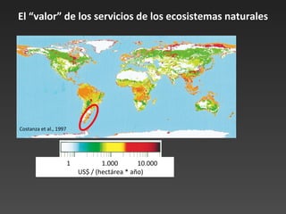 El “valor” de los servicios de los ecosistemas naturales 1.000  10.000 US$ / (hectárea * año) Costanza et al., 1997 