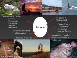 Turismo Protección de  Biodiversidad Desarrollo de la  economía:  Inversiones;  ingresos fiscales Generación de Divisas Entradas Concesiones Mercaderías Servicios Donaciones  Creación de Empleo Educación Ambiental (Información) Apreciación y Orgullo local: Valoración de la  Cultura local Fotos Matías Soriano 