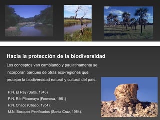 Los conceptos van cambiando y paulatinamente se  incorporan parques de otras eco-regiones que  protejan la biodiversidad natural y cultural del país. P.N. El Rey (Salta, 1948) P.N. Río Pilcomayo (Formosa, 1951) P.N. Chaco (Chaco, 1954). M.N. Bosques Petrificados (Santa Cruz, 1954). Hacia la protección de la biodiversidad 