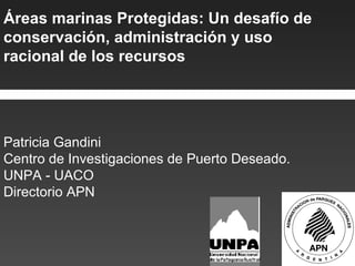 Áreas marinas Protegidas: Un desafío de conservación, administración y uso racional de los recursos Patricia Gandini Centro de Investigaciones de Puerto Deseado. UNPA - UACO Directorio APN  