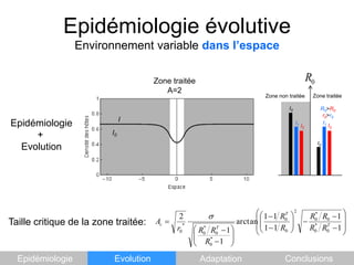 Epidémiologie évolutiveEnvironnement variable dans l’espaceZone traitéeA=2Zone traitéeZone non traitéeI0R0>R0r0>r0IEpidémiologie          +    EvolutionI1I1I2I2I0I0Taille critique de la zone traitée: EpidémiologieEvolutionAdaptationConclusions