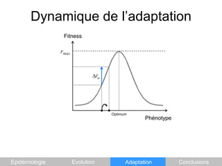Dynamique de l’adaptationFitnessrmaxOptimumPhénotypeEpidémiologieEvolutionAdaptationConclusions