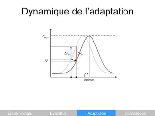 Dynamique de l’adaptationrmaxOptimumEpidémiologieEvolutionAdaptationConclusions