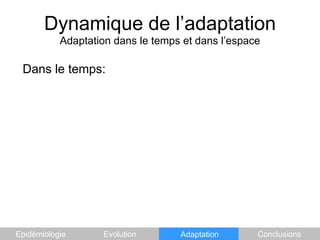 Dynamique de l’adaptationAdaptation dans le temps et dans l’espaceDans le temps:EpidémiologieEvolutionAdaptationConclusions