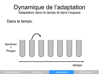 Dynamique de l’adaptationAdaptation dans le temps et dans l’espaceDans le temps:Bactéries+PhagestempsEpidémiologieEvolutionAdaptationConclusions