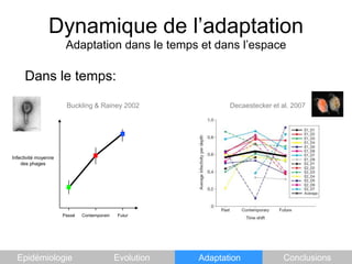 Dynamique de l’adaptationAdaptation dans le temps et dans l’espaceDans le temps:Decaestecker et al. 2007Buckling & Rainey 2002Infectivité moyenne des phagesPasséContemporainFuturEpidémiologieEvolutionAdaptationConclusions