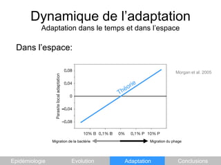 Dynamique de l’adaptationAdaptation dans le temps et dans l’espaceDans l’espace:Morgan et al. 2005ThéorieMigration de la bactérieMigration du phageEpidémiologieEvolutionAdaptationConclusions