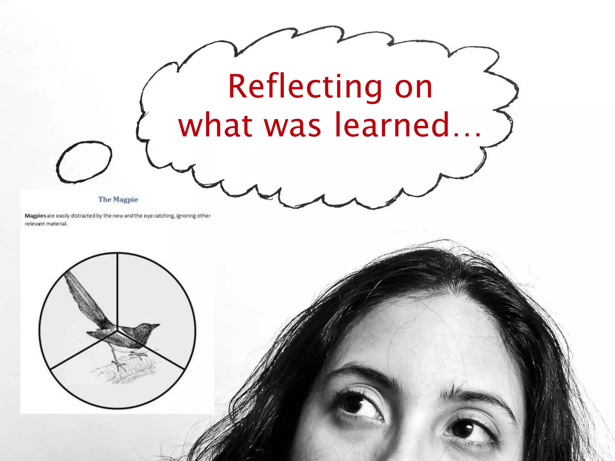 Reflecting on
what was learned…
After a session on the literature search, I love doing this “chimera” activity.
I give each group some animal cards with a « search behaviour » (the panda relies on only one
source of information, the spider only goes on the web…) + a template.
 