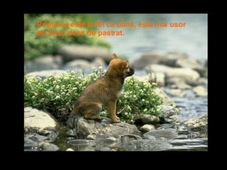 Prietenia este la fel ca banii, este mai usor de facut decit de pastrat.  