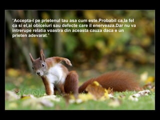“ Accepta-l pe prietenul tau asa cum este.Probabil ca,la fel ca si el,ai obiceiuri sau defecte care il enerveaza.Dar nu va intrerupe relatia voastra din aceasta cauza daca e un prieten adevarat .”  