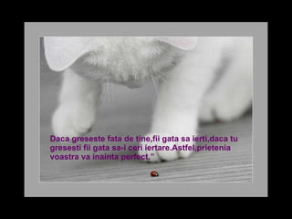 Daca greseste fata de tine,fii gata sa ierti,daca tu gresesti fii gata sa-i ceri iertare.Astfel,prietenia voastra va inainta perfect.”  