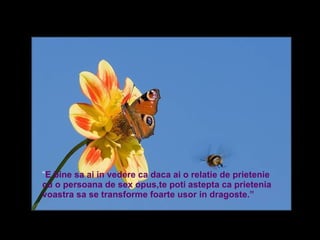 “ E bine sa ai in vedere ca daca ai o relatie de prietenie cu o persoana de sex opus,te poti astepta ca prietenia voastra sa se transforme foarte usor in dragoste.”  