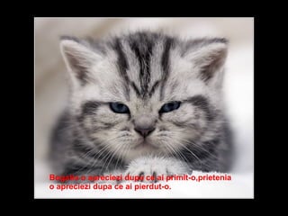 Bogatia o apreciezi dupa ce ai primit-o,prietenia o apreciezi dupa ce ai pierdut-o.  