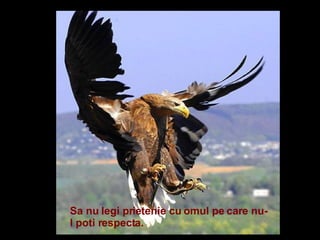 Sa nu legi prietenie cu omul pe care nu-l poti respecta.  