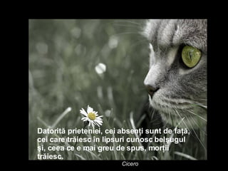 Datorită prieteniei, cei absenţi sunt de faţă, cei care trăiesc în lipsuri cunosc belşugul şi, ceea ce e mai greu de spus, morţii trăiesc.   Cicero 