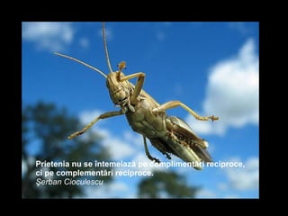 Prietenia nu se întemeiază pe complimentări reciproce, ci pe complementări reciproce.  Şerban Cioculescu 