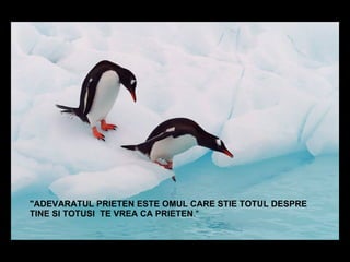"ADEVARATUL PRIETEN ESTE OMUL CARE STIE TOTUL DESPRE TINE SI TOTUS I  TE VREA CA PRIETEN ."  