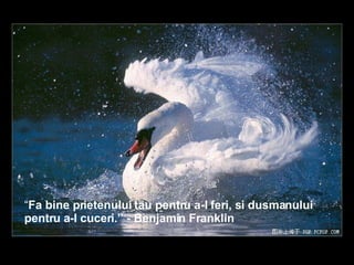 “ Fa bine prietenului tau pentru a-l feri, si dusmanului pentru a-l cuceri.” - Benjamin Franklin  