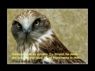 Oamenii sunt ca vinurile. Cu timpul, fie devin din ce in ce mai buni, fie se transforma in otet.  (Papa Ioan al XXIII-lea)  