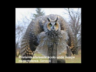 Prietenia sfarseste acolo unde incepe neincrederea.  Seneca 