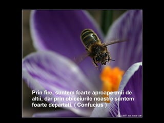 Prin fire, suntem foarte aproape unii de altii, dar prin obiceiurile noastre suntem foarte departati. ( Confucius )   