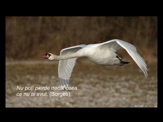 Nu poţi pierde decât ceea ce nu ai avut.  (Borges) 